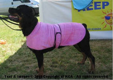 Load image into Gallery viewer, Cooling Dog Coats by KeepCool