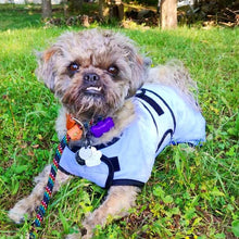 Load image into Gallery viewer, Cooling Dog Coats by KeepCool