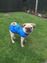 Load image into Gallery viewer, Cooling Dog Coats by KeepCool