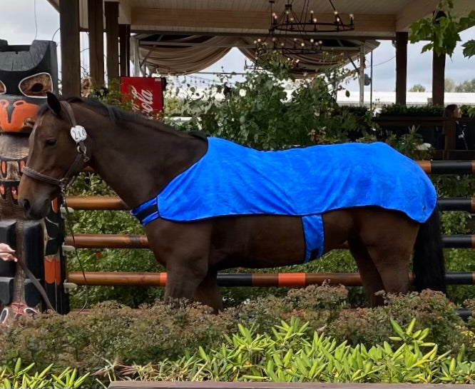 Cooling Horse Coat by KeepCool
