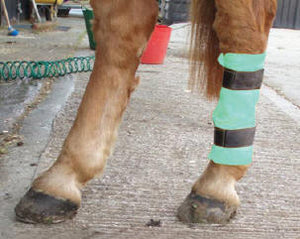 Cooling Horse Leg Pads