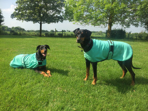 Cooling Dog Coats by KeepCool